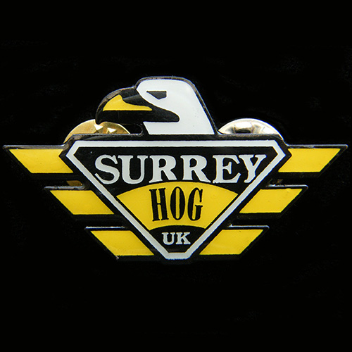 Harley Surrey Chapter